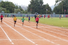 DSC01302