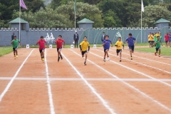 DSC01311