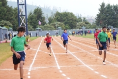 DSC01331