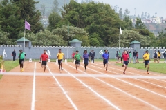 DSC01341