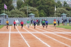 DSC01350