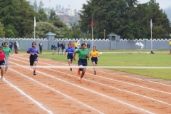 DSC01353