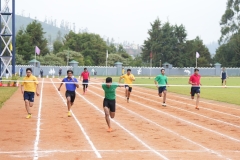 DSC01365