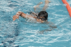 DSC0815008150