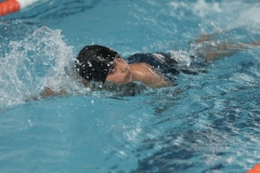 DSC0815808158