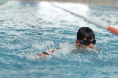 DSC0816708167