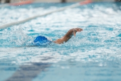 DSC0818408184