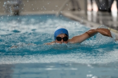 DSC0821708217