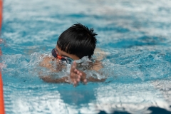 DSC0825008250