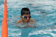DSC0825108251