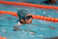 DSC0830108301