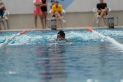 DSC0832008320