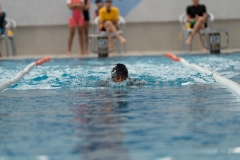DSC0832108321