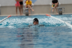 DSC0832308323