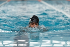 DSC0833108331