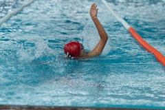 DSC0870708707