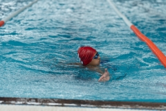 DSC0870808708