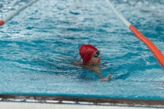 DSC0870908709