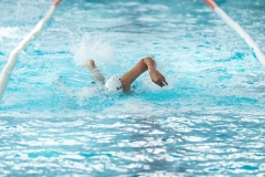 DSC0885808858