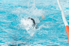DSC0886308863
