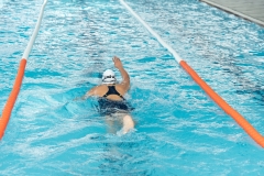 DSC0886508865