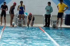 DSC0887008870