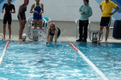 DSC0887108871