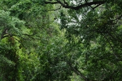 DSC00563