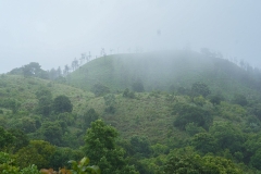 DSC00646