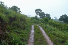 DSC00647