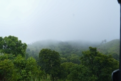 DSC00649