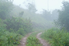 DSC00658