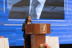 DSC0951509515