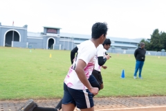 DSC0781207812
