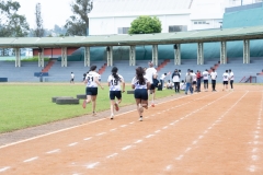 DSC0781907819
