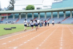 DSC0782007820