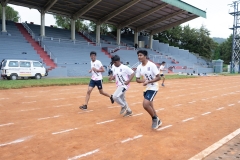 DSC0795207952